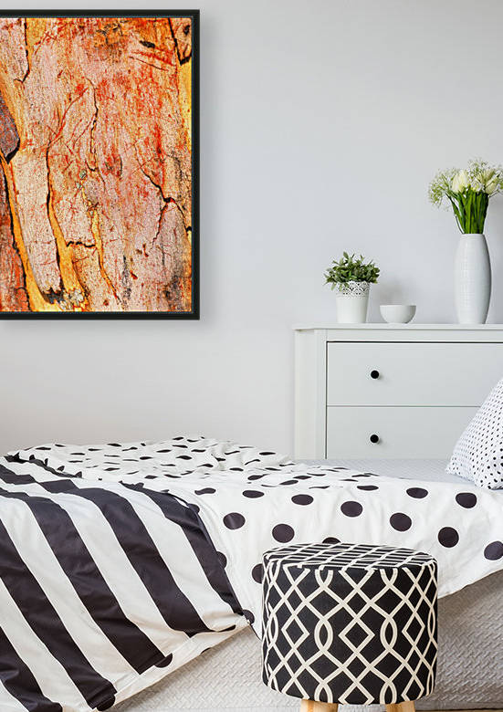 Eucalyptus Bark And Patterns by Joy Watson