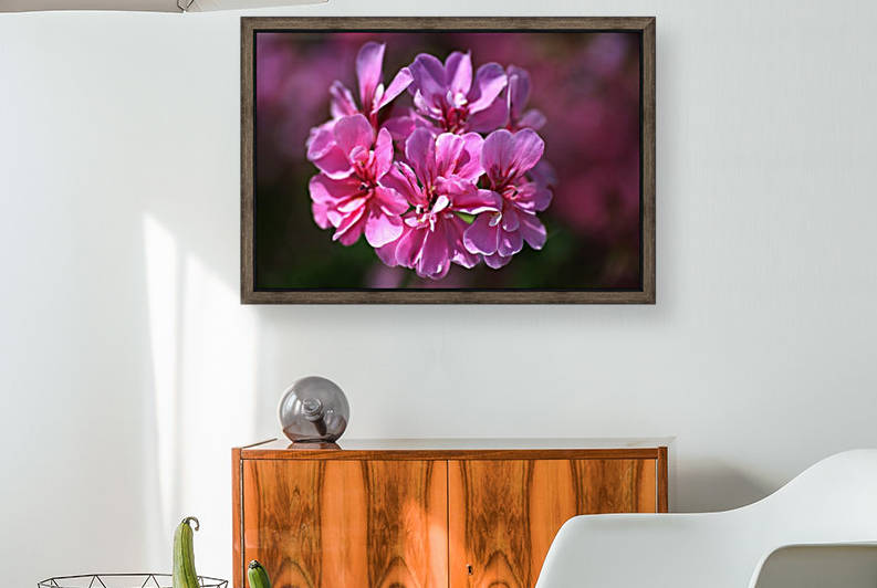 Geranium In Pink by Joy Watson