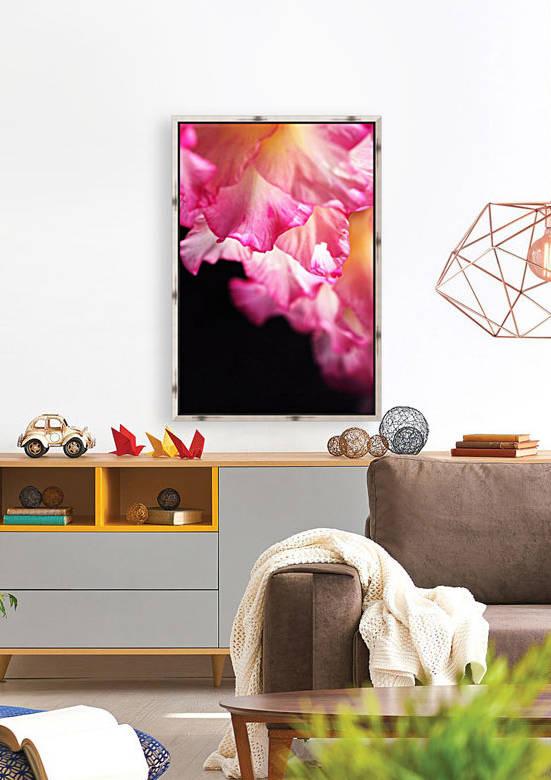 Gladiolus Petals In Pink by Joy Watson