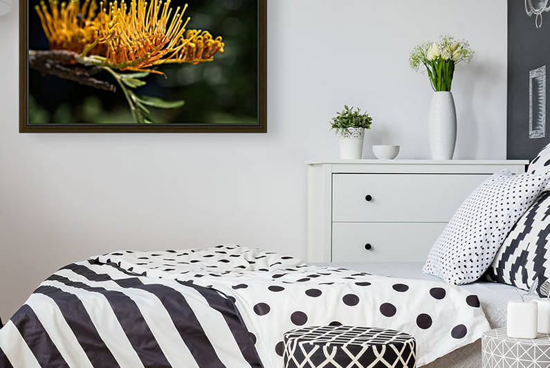 Tree Grevillea Robusta by Joy Watson