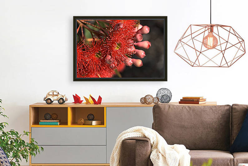 Eucalyptus Buds and Flowers by Joy Watson