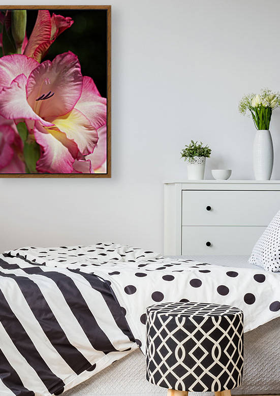 Gladiolus In Pink by Joy Watson