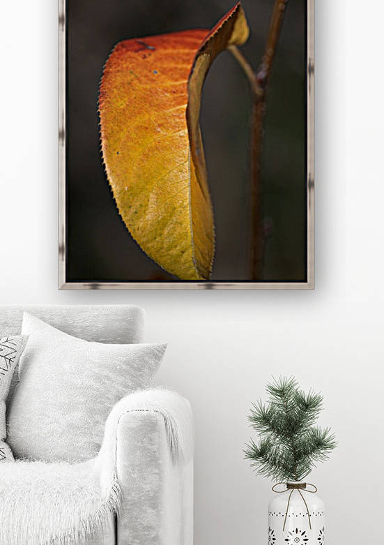 Leaf Solo Reproduction