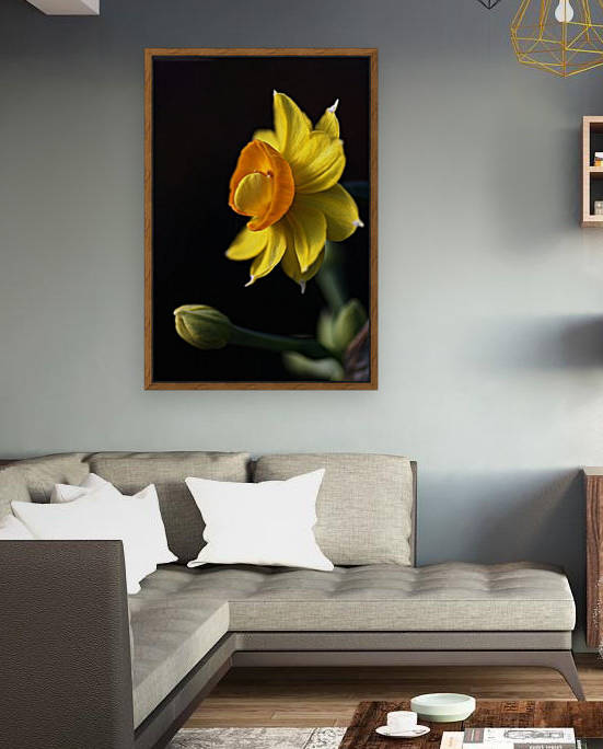 Daffodil Delight by Joy Watson