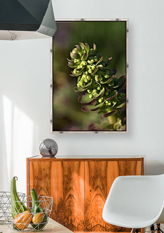 Succulent by Joy Watson
