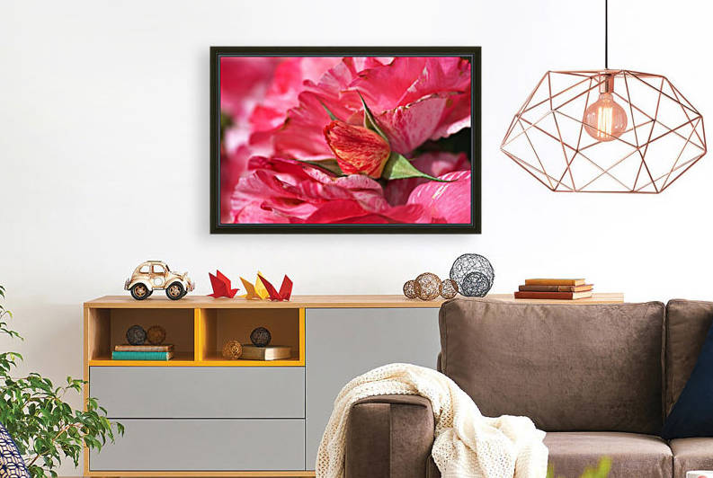 Rose Bud On My Petals by Joy Watson