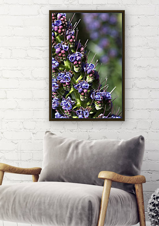 Veronica Flower by Joy Watson