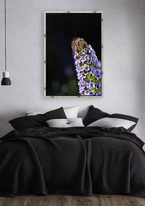 Veronica Flower Delight by Joy Watson
