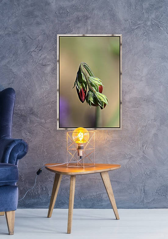 Split Pea Buds by Joy Watson