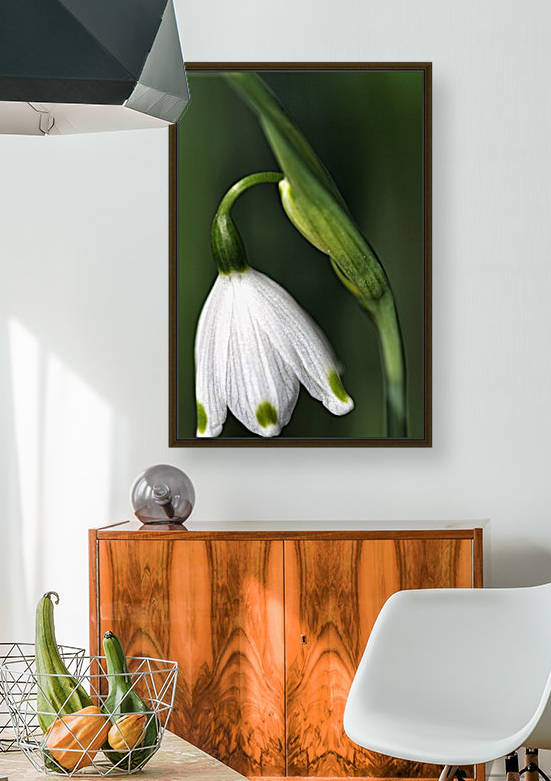 SPRING SNOWDROP FLOWER  by Joy Watson