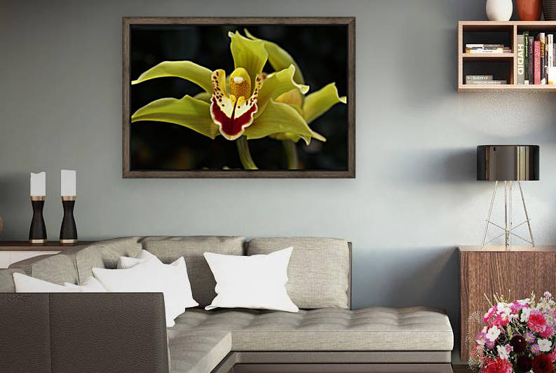 Green Orchid Reproduction