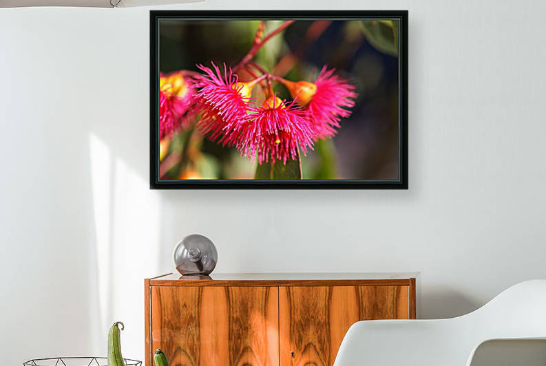 Eucalyptus Pink Living Bells by Joy Watson