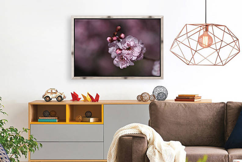 Pink Prunus Blossom  by Joy Watson