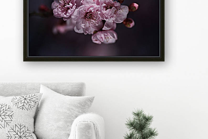 Pink Prunus Blossom Drama by Joy Watson