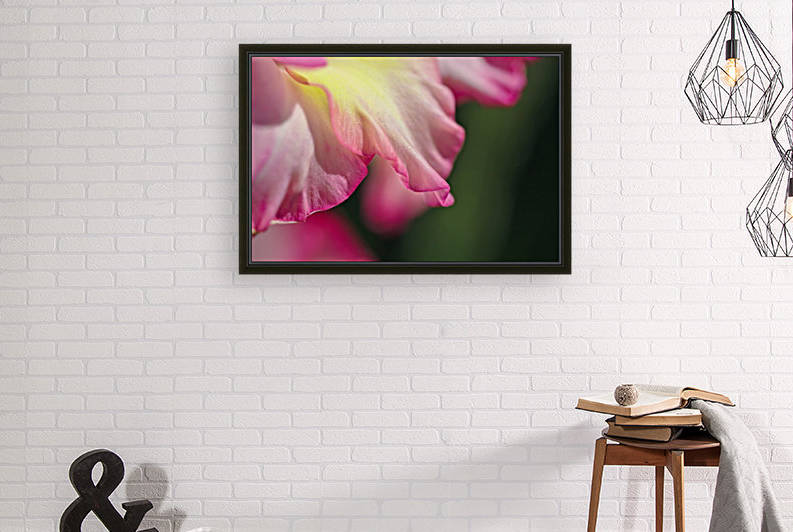 Gladiolus Petals by Joy Watson