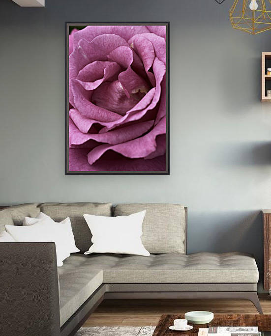 Mauve Rose by Joy Watson