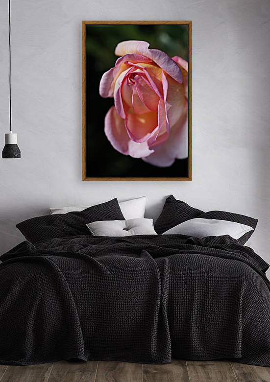 Pink and Orange Rose Reproduction