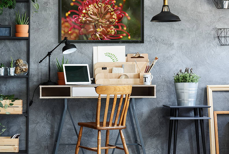Grevillea Flowers Face by Joy Watson