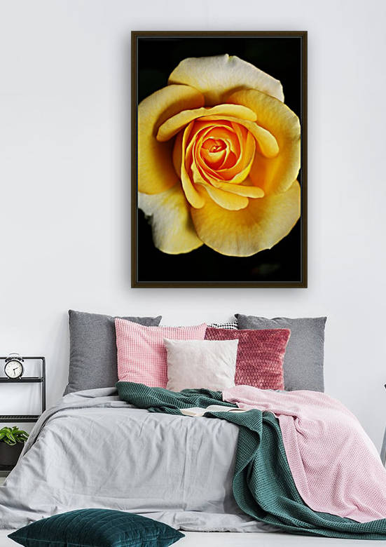 Bright Yellow Rose by Joy Watson