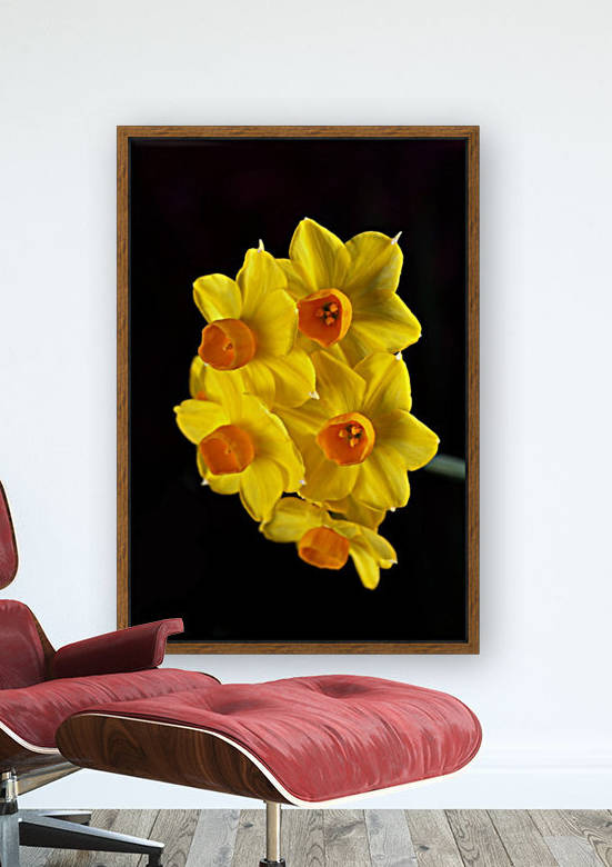 Yellow Jonquils by Joy Watson
