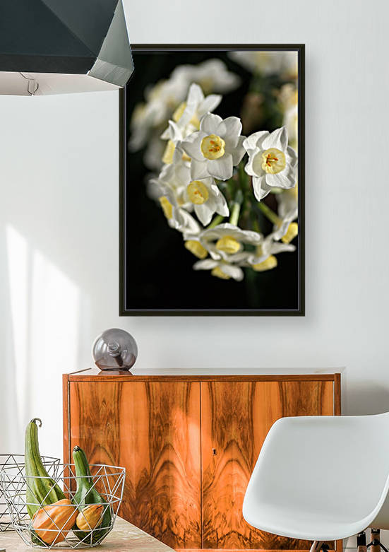 Jonquils In White by Joy Watson