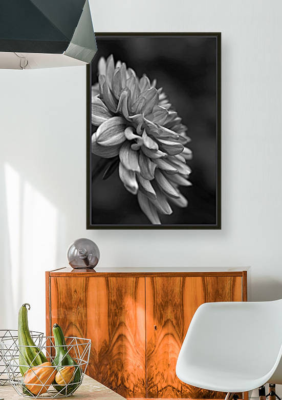 Dahlias Side Black and White by Joy Watson