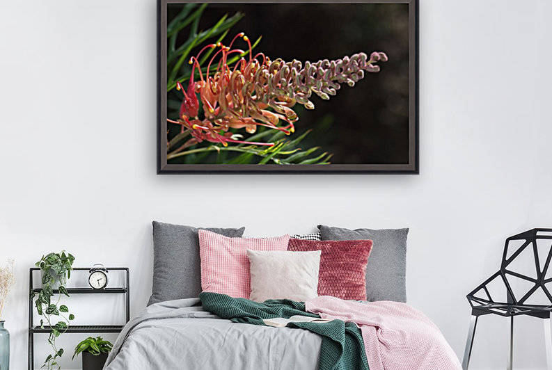 Grevillea Superb Flower by Joy Watson