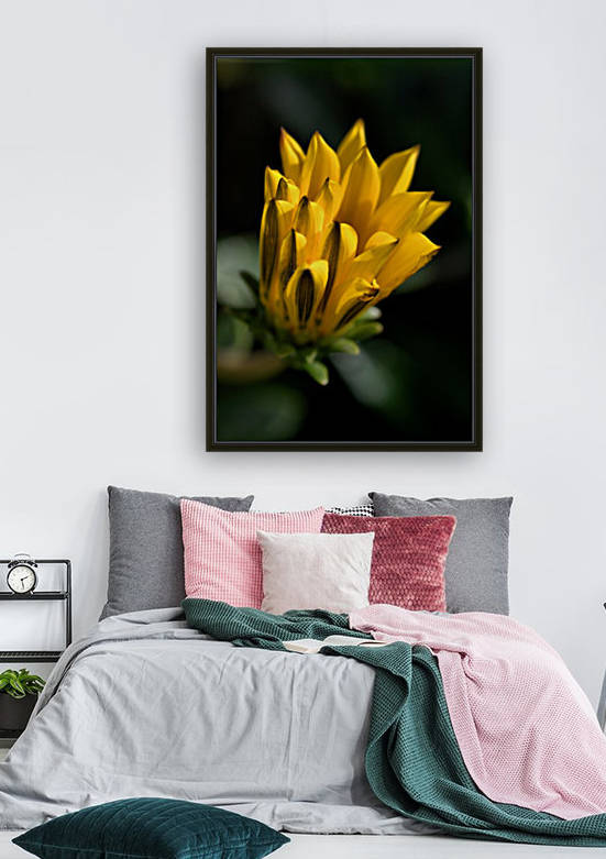 Daisy Bud Of Yellow by Joy Watson