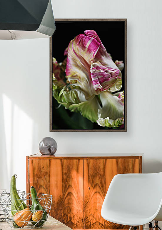 Parrot Tulip Reproduction