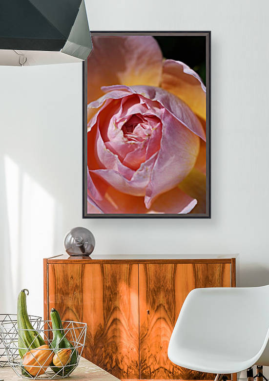 Pink Rose and Orange Glow by Joy Watson