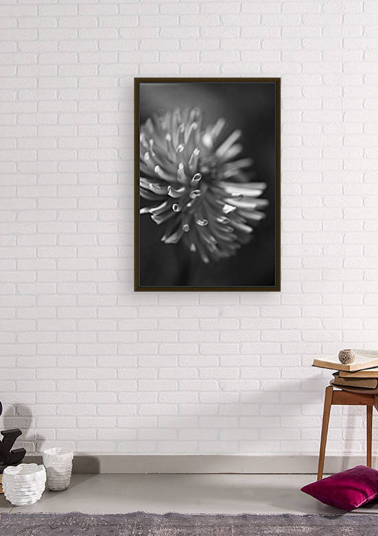 Dahlia Flower Black and White by Joy Watson