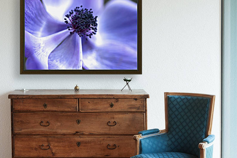 Blue Anemone by Joy Watson