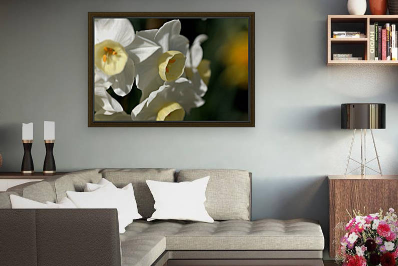 Jonquils  by Joy Watson
