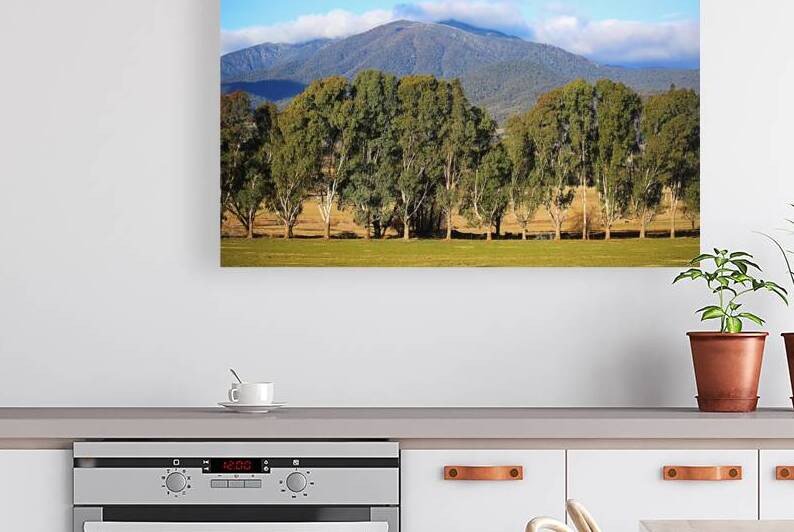 Tree Row And Mount Bogong by Joy Watson