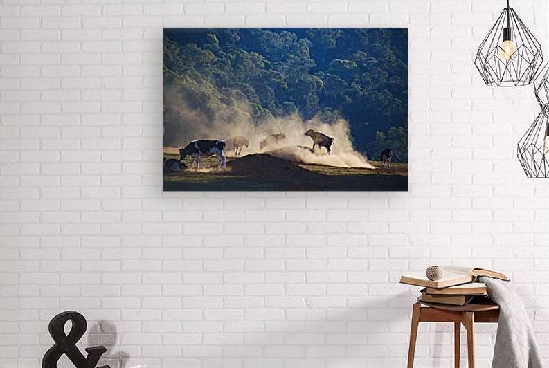 Cows Are Playing Games by Joy Watson