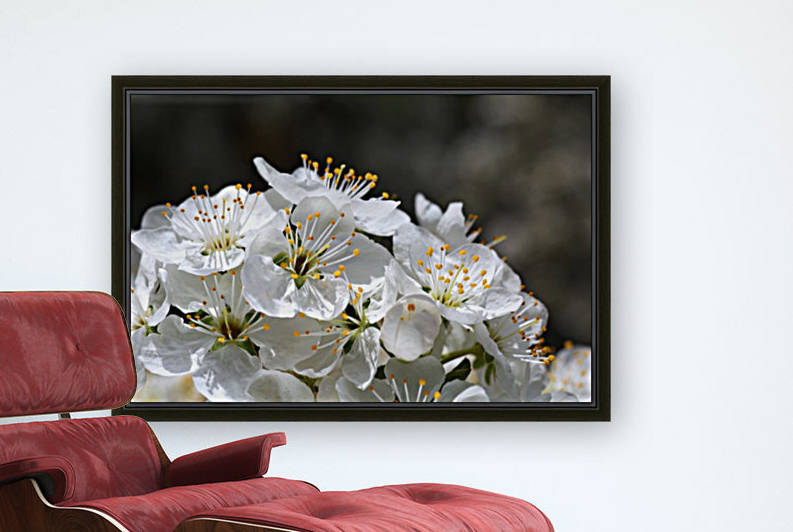 Reaching Up High Blossom by Joy Watson