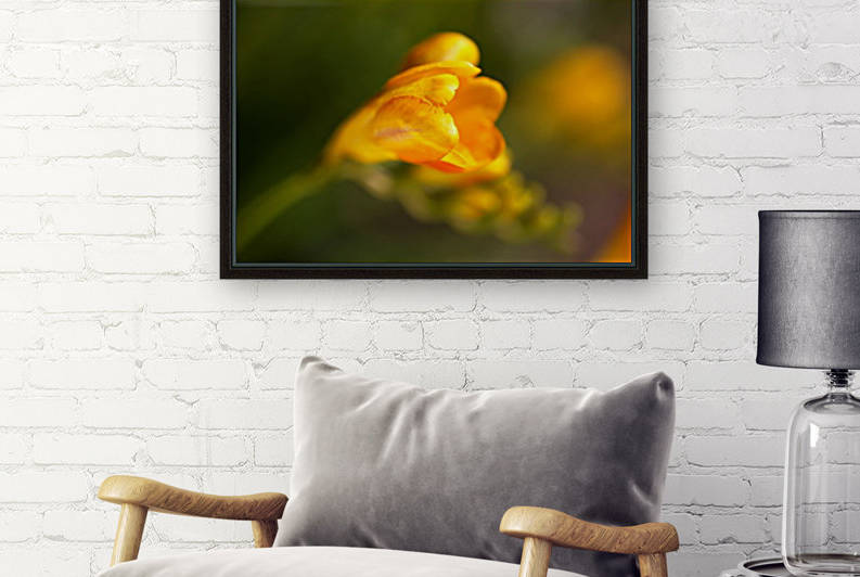 Freesia Flower by Joy Watson