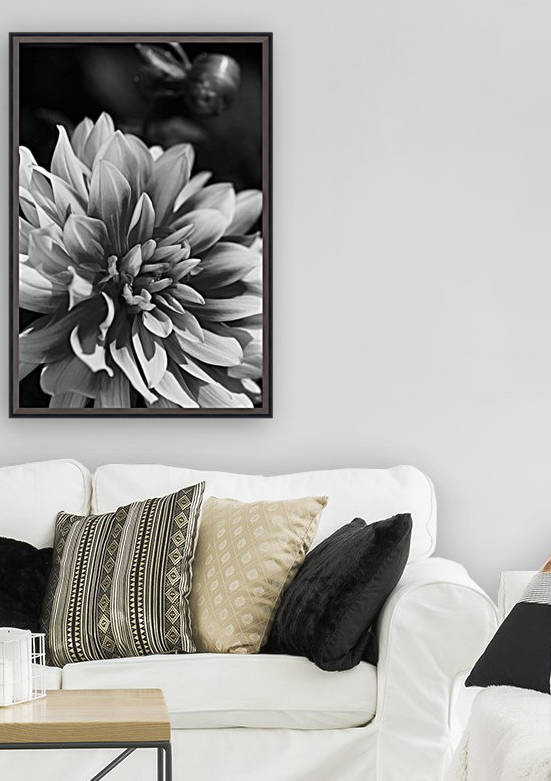 Dahlia Of Black And White by Joy Watson
