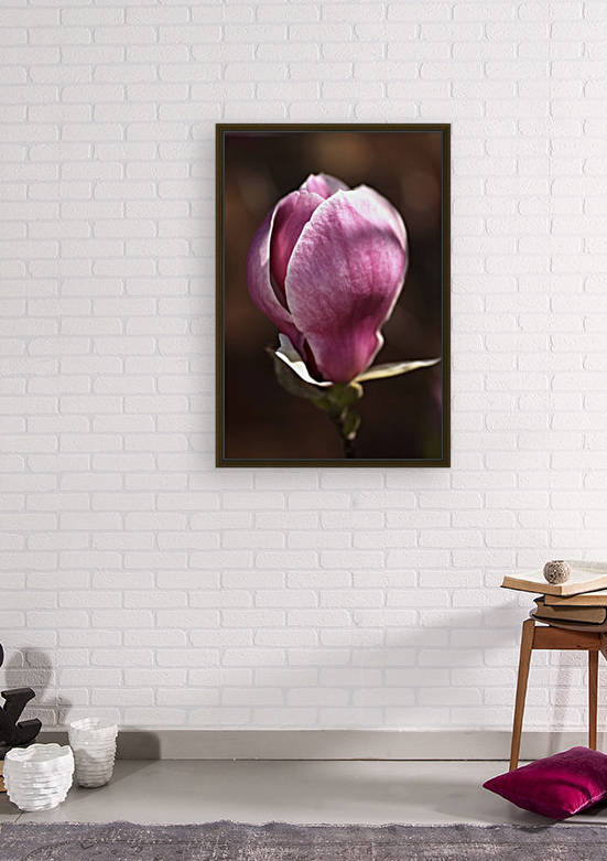Magnolia Flowers Dream by Joy Watson