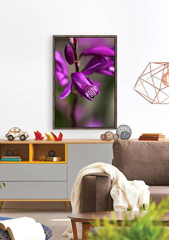 Japanese Orchid by Joy Watson