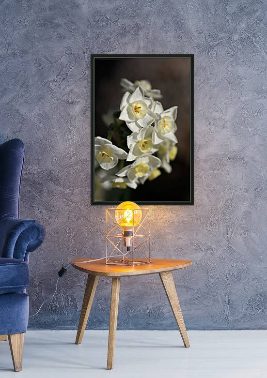 Jonquils Romance by Joy Watson