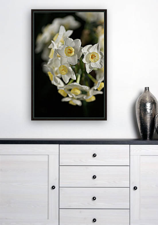 Jonquils Ring by Joy Watson