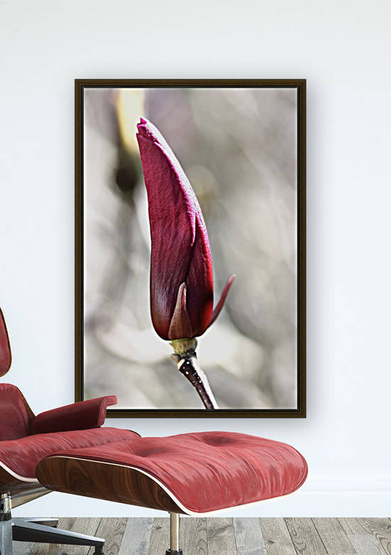 Pink Magnolia Bud by Joy Watson