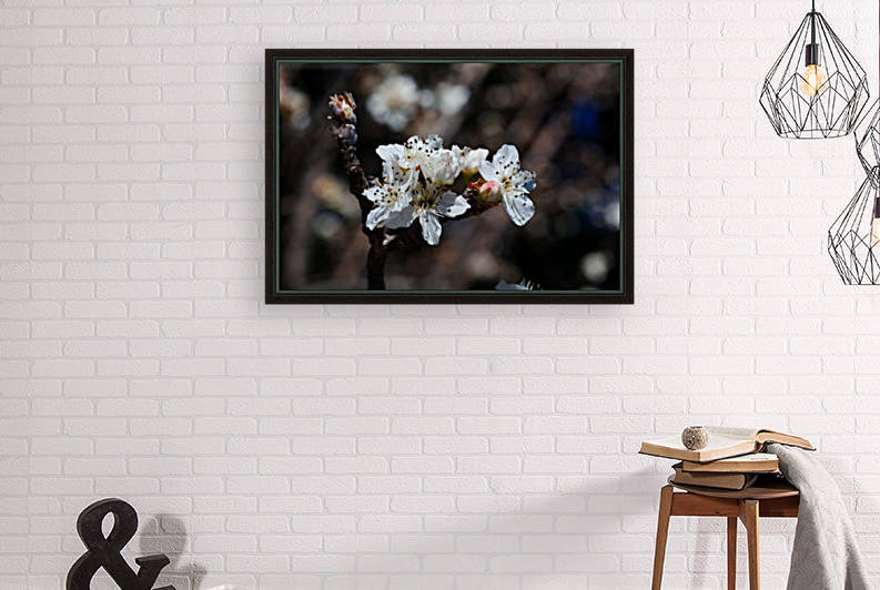 Blossom Spring White Flowers by Joy Watson