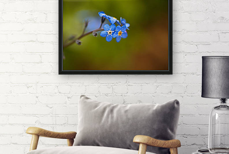 Forget Me Not by Joy Watson