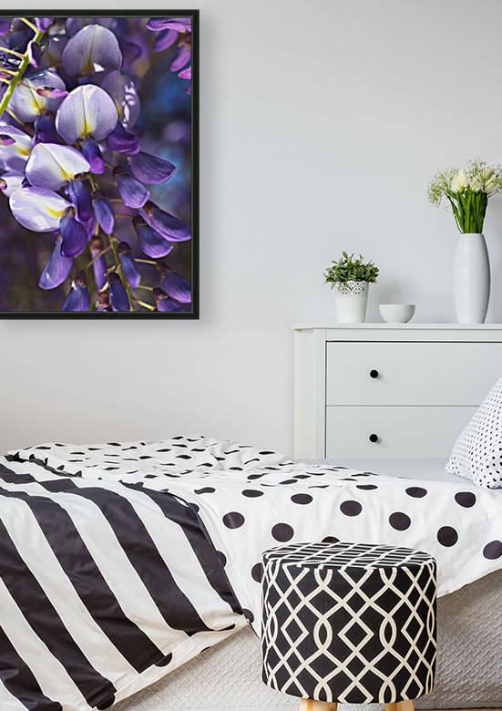 Wisteria In Flowers And Buds by Joy Watson