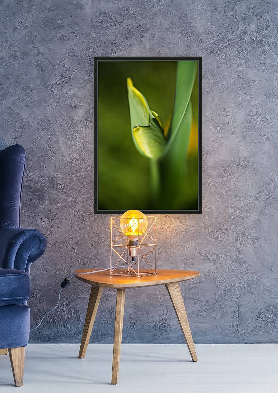 Dreamy Tulip Bud by Joy Watson