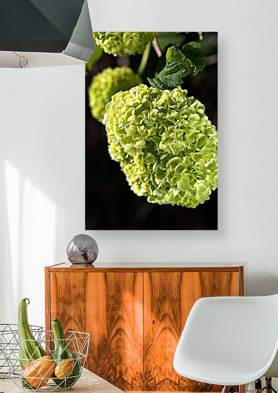 Green Snowball Flowers by Joy Watson