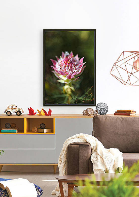 Protea Small Pink Flowers by Joy Watson