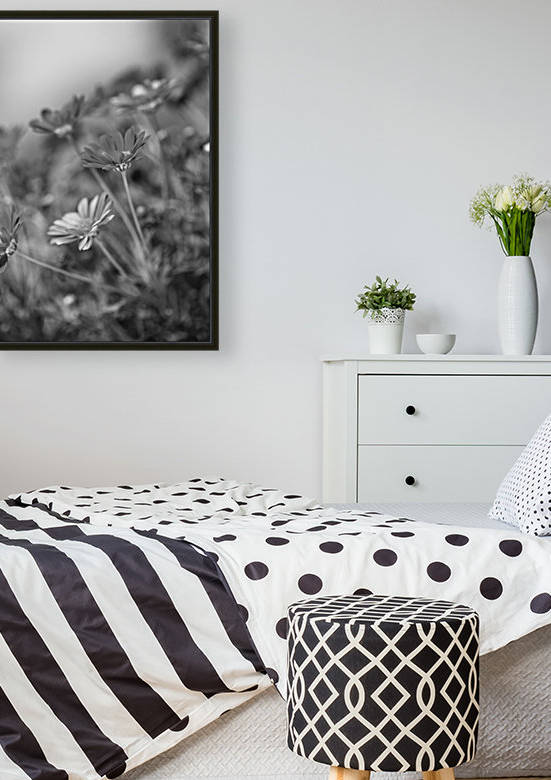 Daisies In Dream of Dancing by Joy Watson